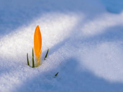 Vårhälsning från oss på VA&nbsp;Drift!